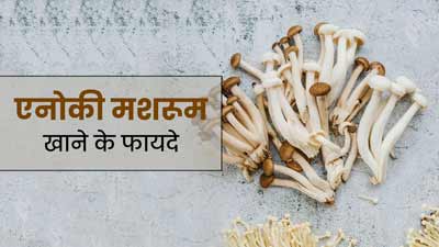 Enoki Mushrooms: स्वाद और सेहत का खजाना है एनोकी मशरूम, जानें इसे खाने के 5 फायदे