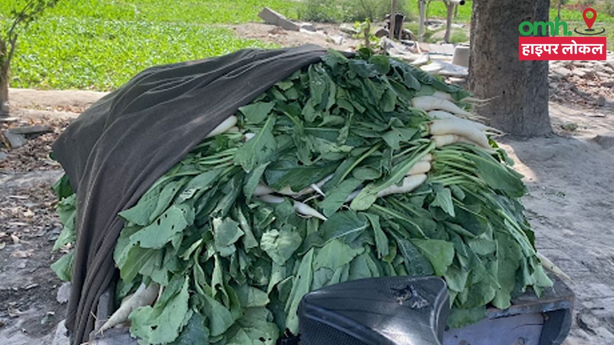 Poisonous Vegetables Grown Near Yamuna River