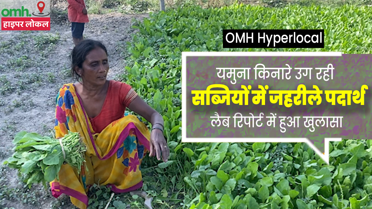 OMH HyperLocal: यमुना किनारे उगाई जा रही सब्जियों की जांच में मिले हैवी मेटल, पढ़ें पूरी रिपोर्ट