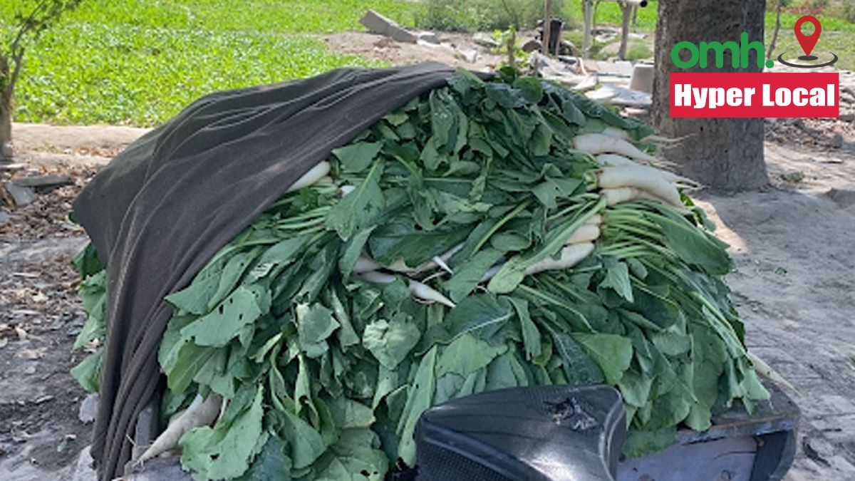 vegetables