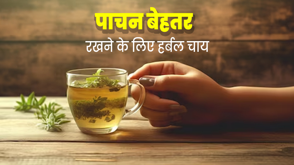 गट हेल्थ को बेहतर रखने के लिए डाइट में शामिल करें ये 5 तरह की चाय, जानें रेसिपी