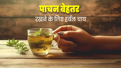 गट हेल्थ को बेहतर रखने के लिए डाइट में शामिल करें ये 5 तरह की चाय, जानें रेसिपी