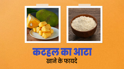 कटहल के बीज का आटा सेहत के लिए होता है बेहद फायदेमंद, कंट्रोल रखता है वजन और ब्लड शुगर