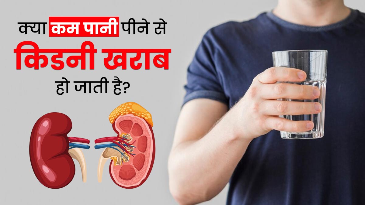 क्या कम पानी पीने से किडनी खराब हो जाती है? जानें कितना पानी पीना जरूरी