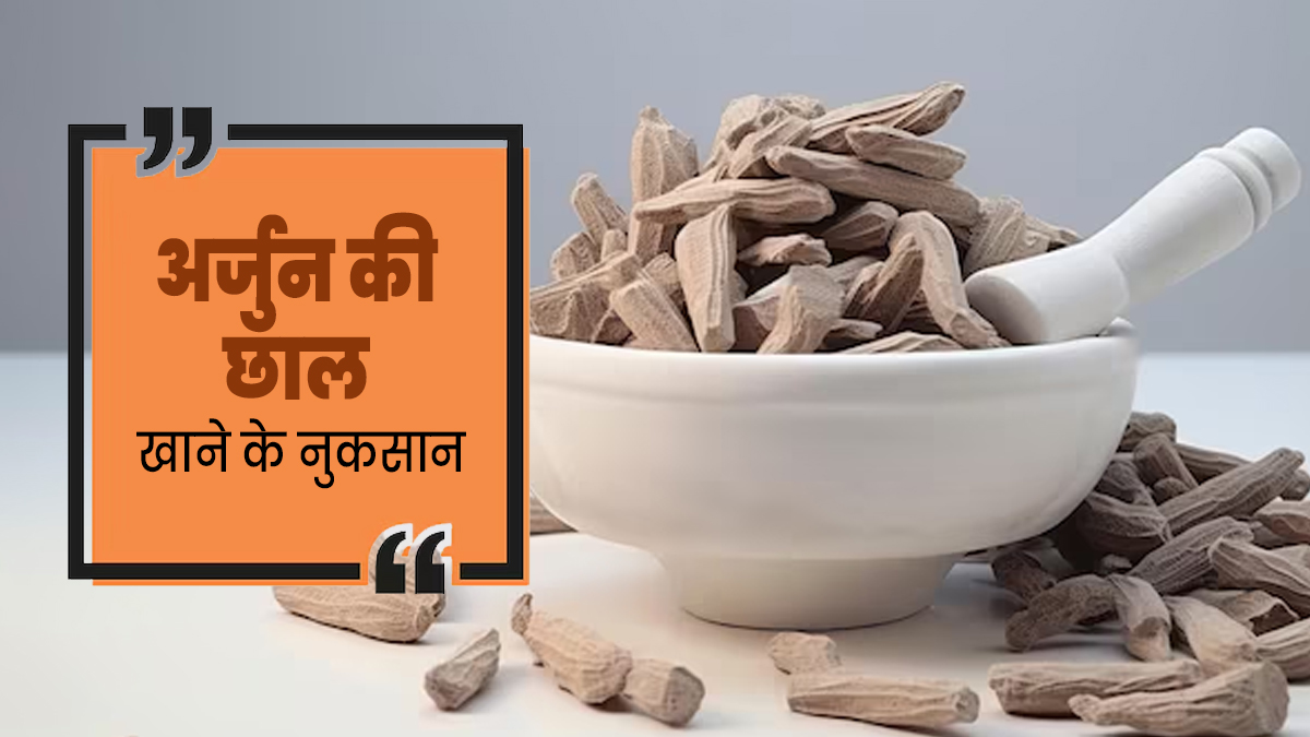 अर्जुन की छाल खाने से सेहत को हो सकते हैं ये 4 नुकसान, ज्यादा मात्रा में न करें सेवन