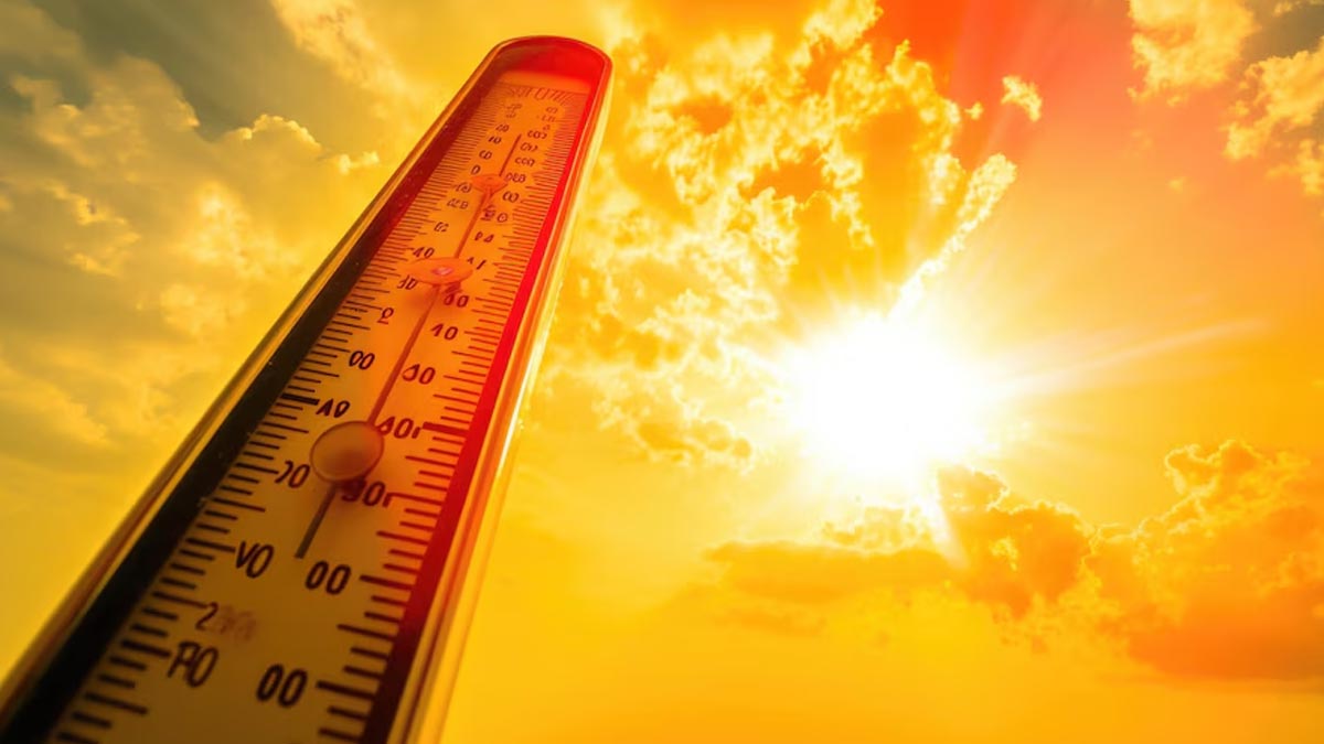 How Heatwaves Can Affect Your Appetite and Foods to Build it Back