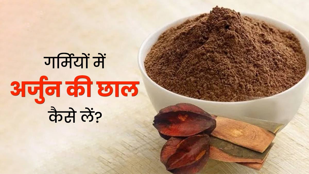 Arjuna ki Chaal: गर्मियों में अर्जुन की छाल का सेवन कैसे करें? एक्सपर्ट से जानें 4 तरीके