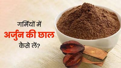 Arjuna ki Chaal: गर्मियों में अर्जुन की छाल का सेवन कैसे करें? एक्सपर्ट से जानें 4 तरीके