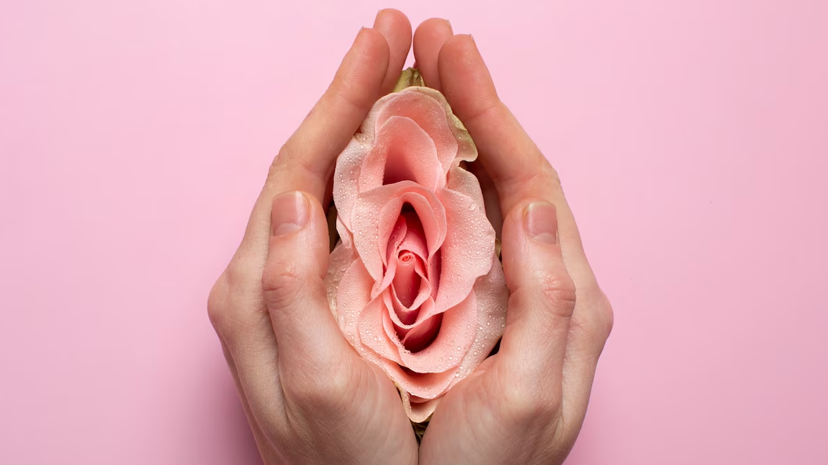 Tips To Take Care Of Vaginal Health For Moms After Menopause In Hindi