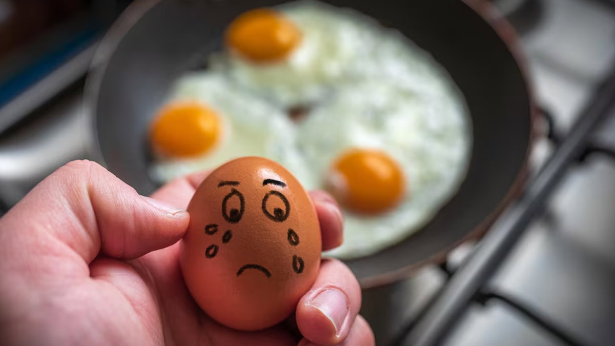 Ask The Expert: Should You Avoid Eating Eggs During Fever?