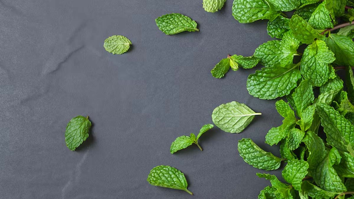 Mint Leaves Magic: Ways To Use Mint Leaves For Acne And Scars
