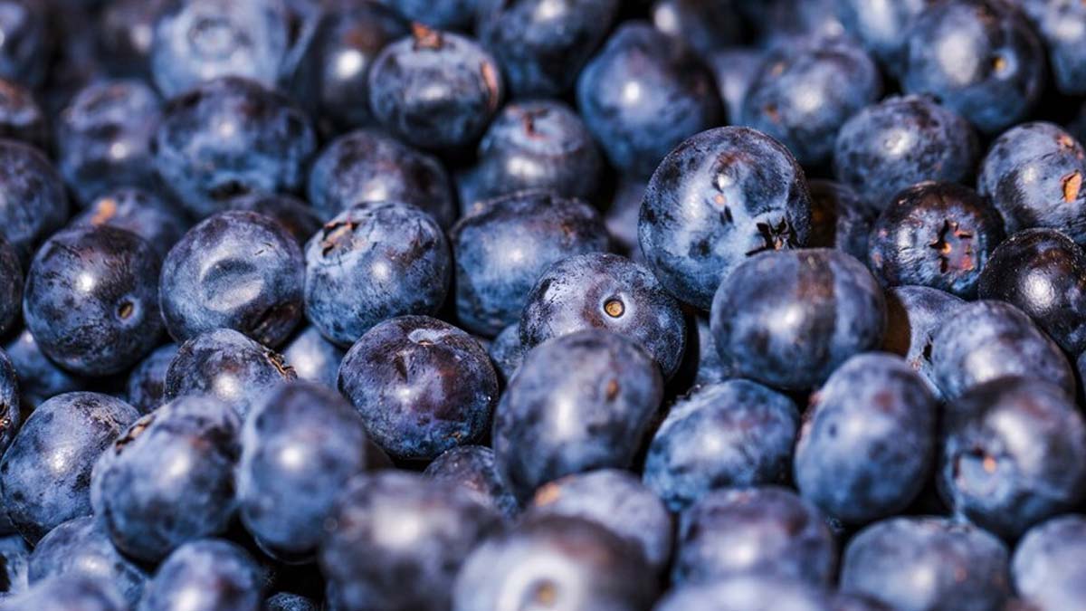 5 Purple Foods For Healthy And Glowing Skin