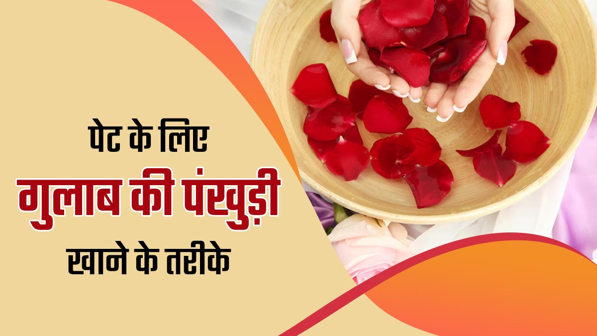 पेट के लिए फायदेमंद होती हैं गुलाब की पंखुड़ियां, इन 3 तरीकों से करें डाइट में शामिल
