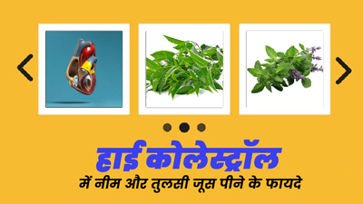 हाई कोलेस्ट्रॉल कम करने के लिए पिएं नीम और तुलसी का जूस, मिलेंगे अनोखे फायदे