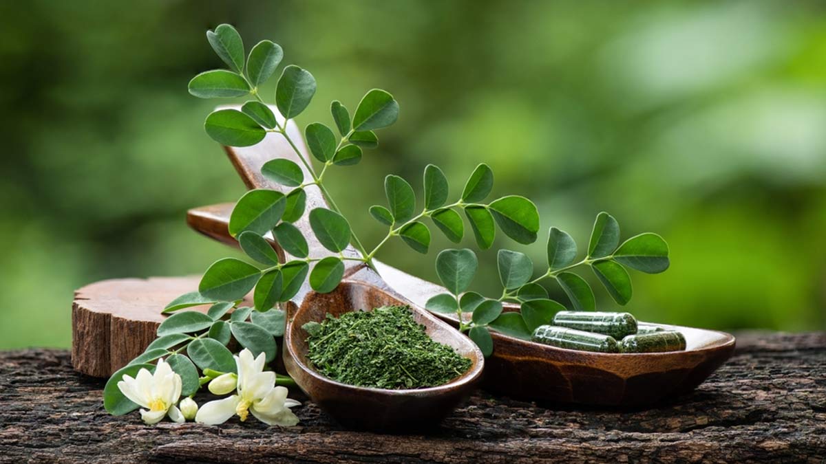 Here’s Why You Should Drink Moringa Water On Empty Stomach