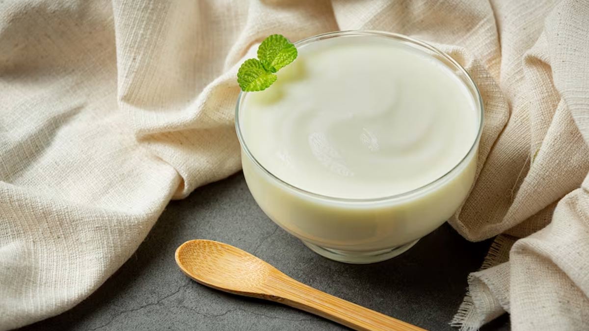 Are Yoghourts Healthy? Read On To Know It's Side Effects 