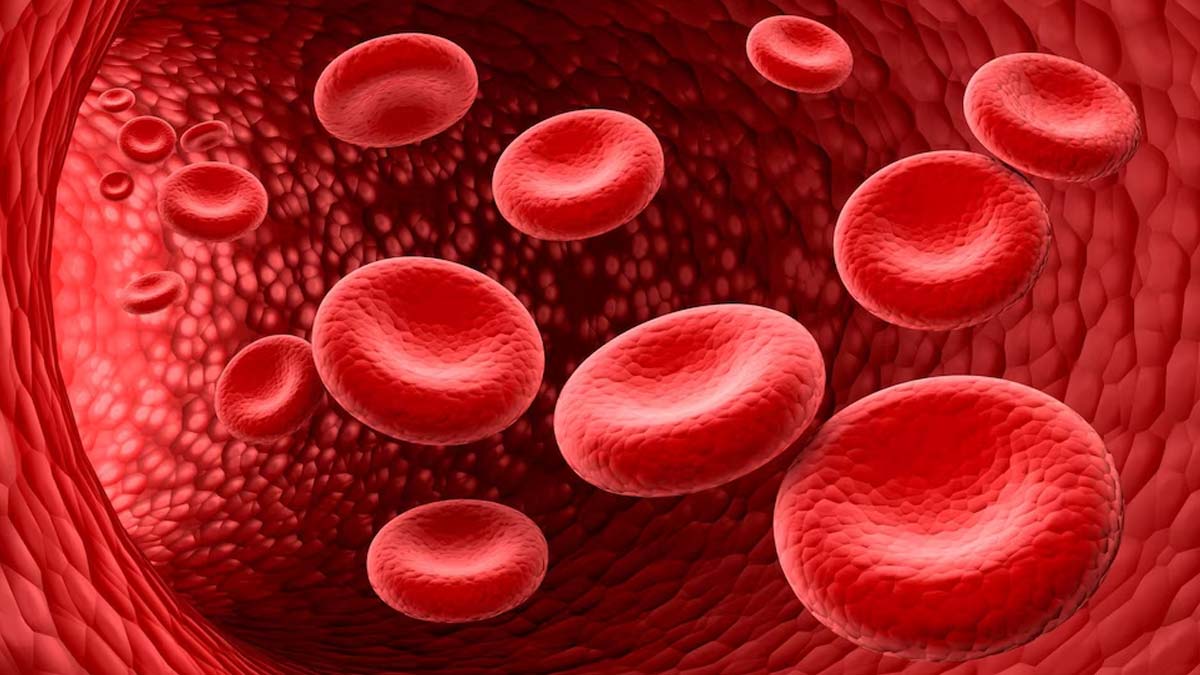 Childhood Thalassemia: 5 Important Facts Every Parent Should Understand