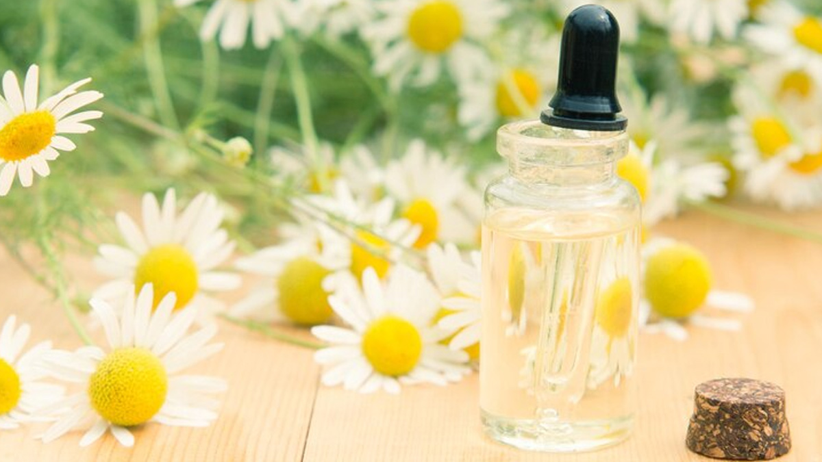 chamomile-oil