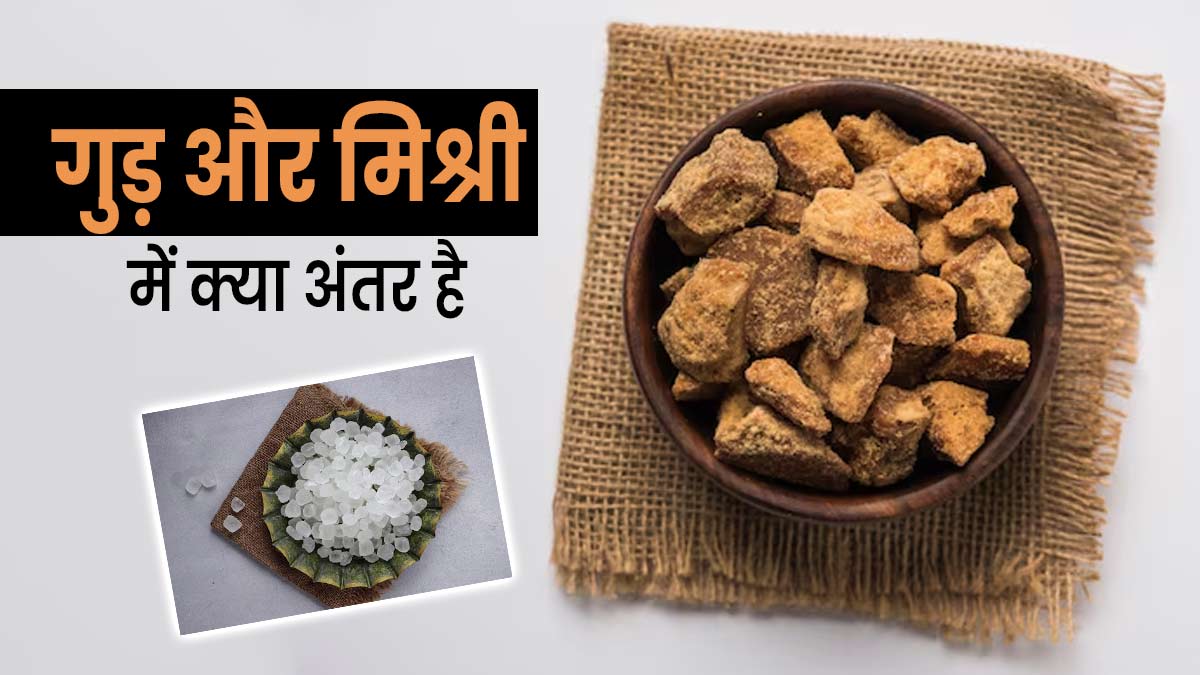 मिश्री या गुड़: सेहत के लिए क्या होता है ज्यादा फायदेमंद? आयुर्वेदिक डॉक्टर से जानें किसे क्या खाना चाहिए 