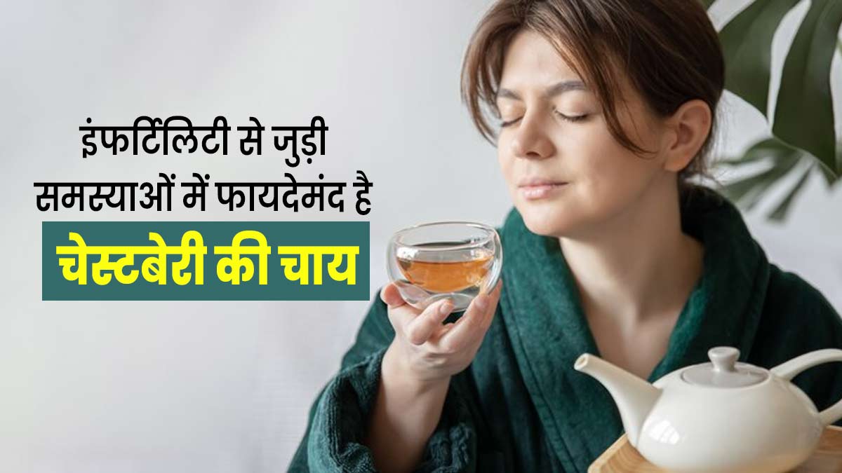 फर्टिलिटी से जुड़ी समस्याओं में पिएं चेस्टबेरी की चाय, महिलाओं के लिए होती है फायदेमंद 