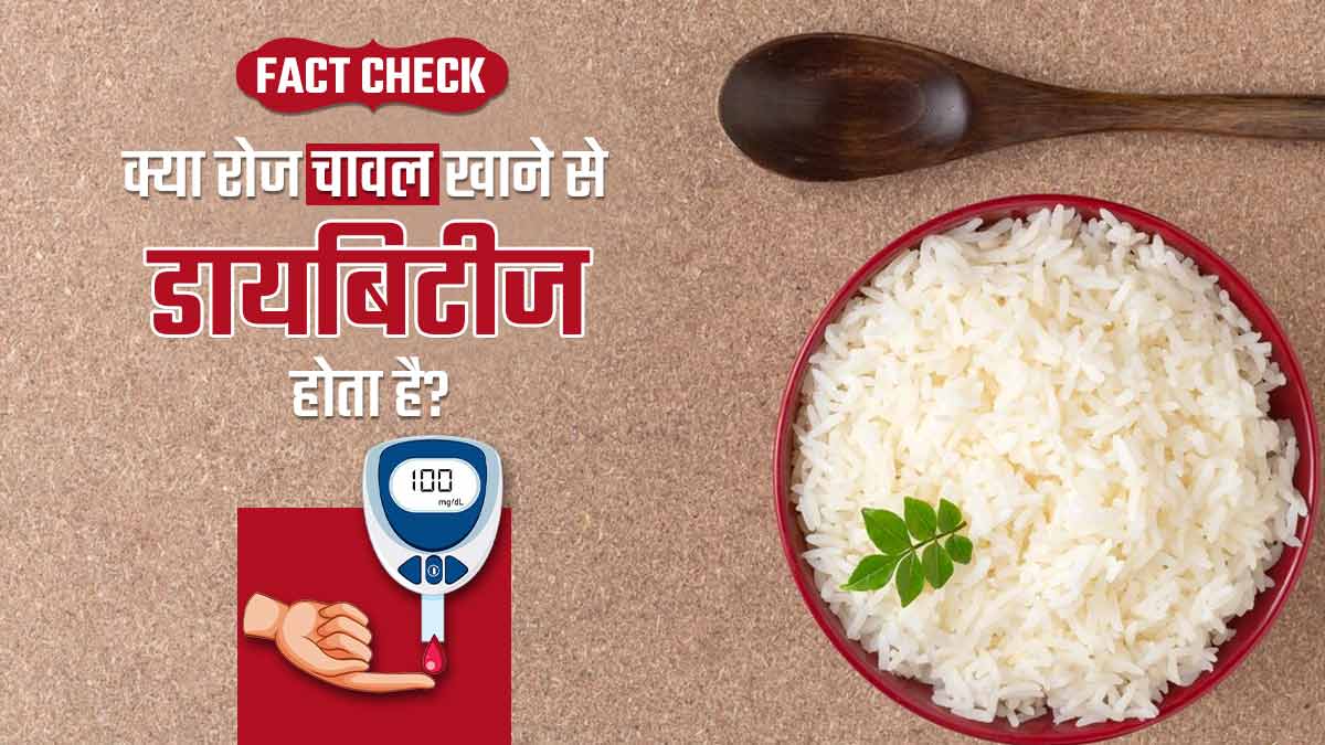 Fact Check: क्या सच में रोज चावल खाने से डायबिटीज हो सकता है? डॉक्टर से जानें सच्चाई