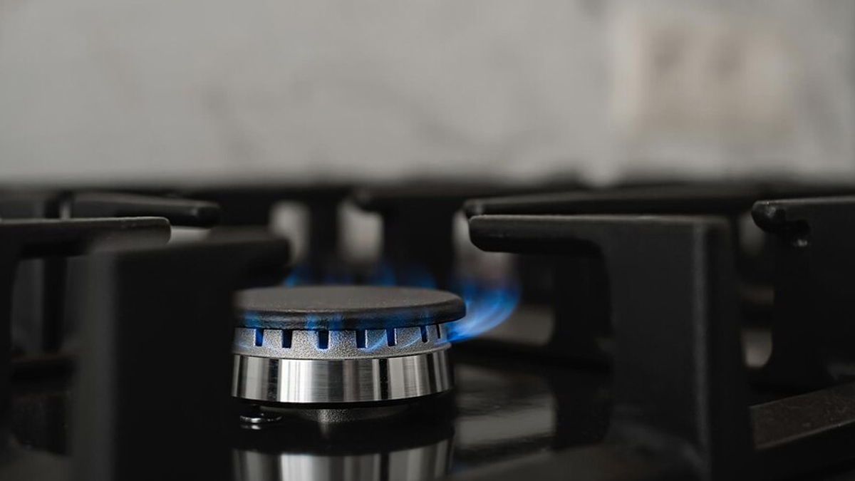 Gas And Propane Stoves Increase Exposure To NO2 Exposure, Reveals Study: Here's How It  Affects Your Health