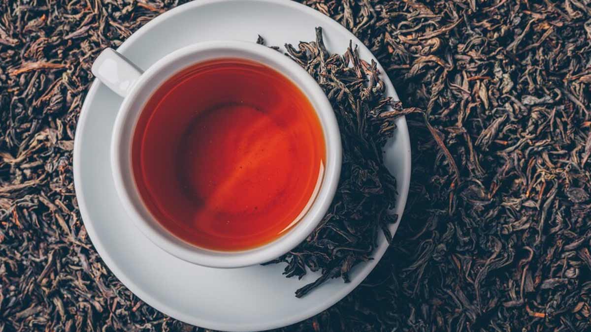 Research Suggests Black Tea Can Kill COVID-19 In the Mouth Within 10 Seconds: Here’s What You Need To Know