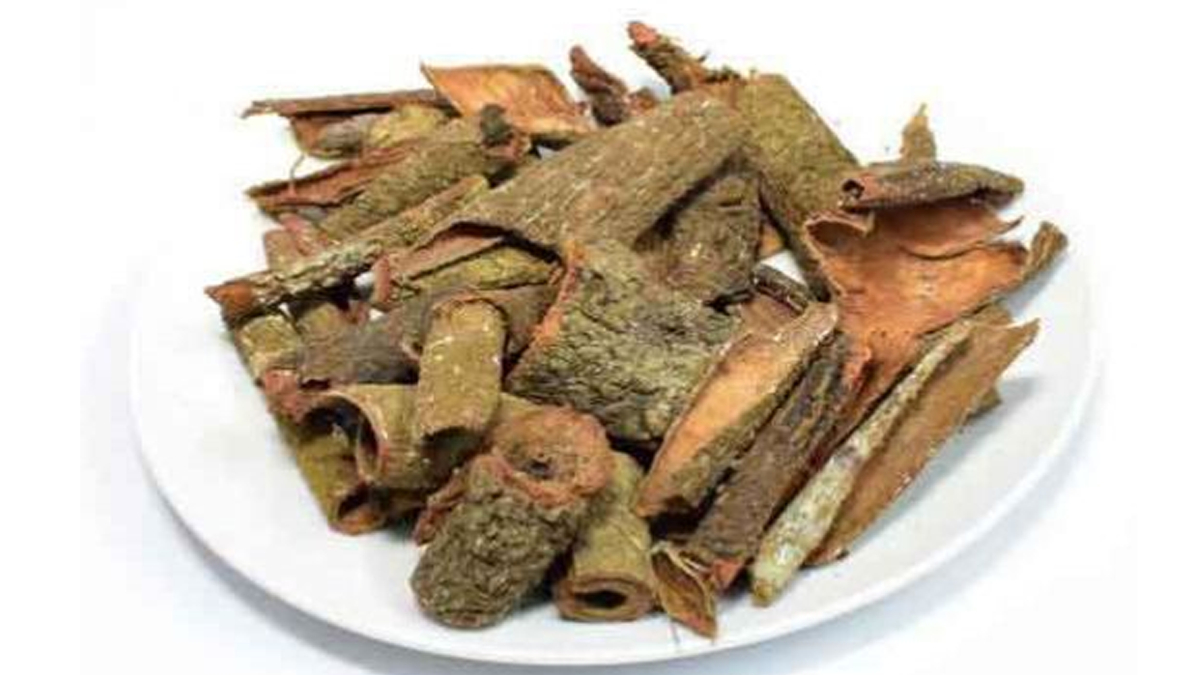 ashok bark