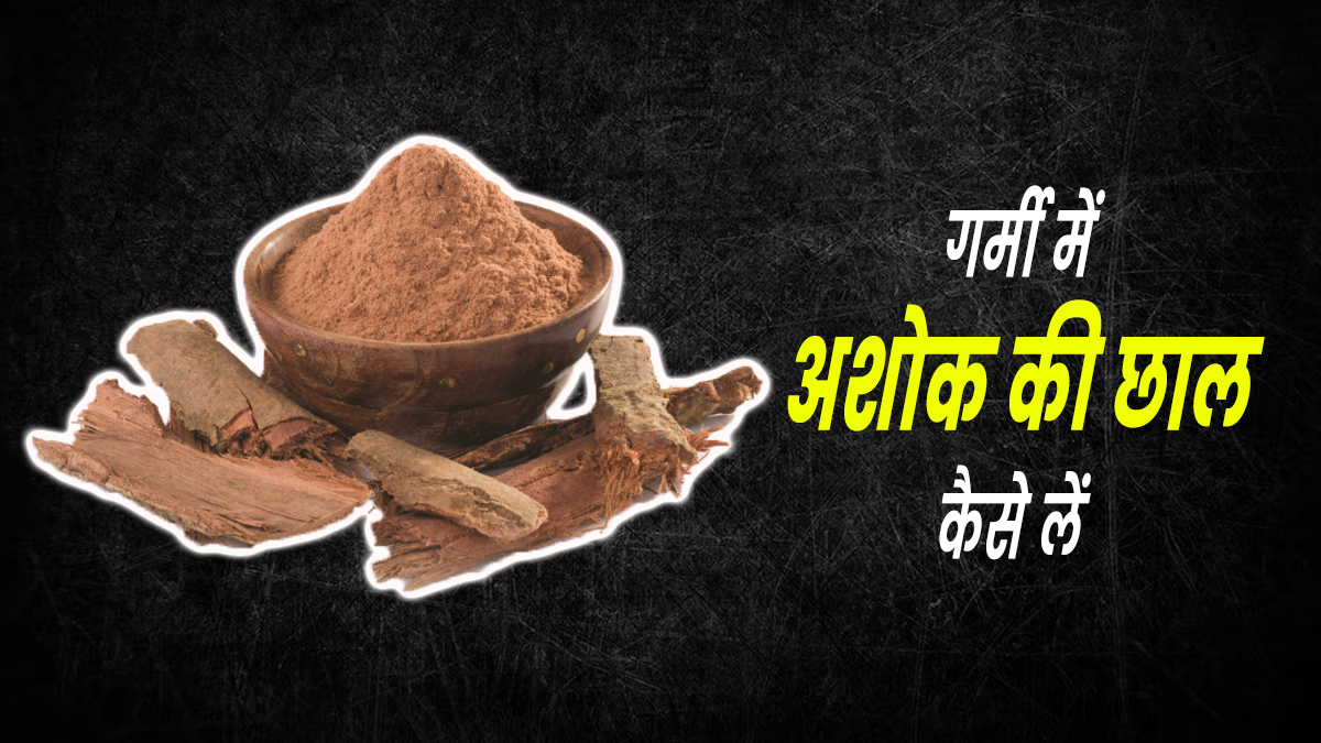 गर्मियों में अशोक की छाल का सेवन कैसे करें? जानें 4 तरीके, जिनसे दूर होंगी कई समस्याएं