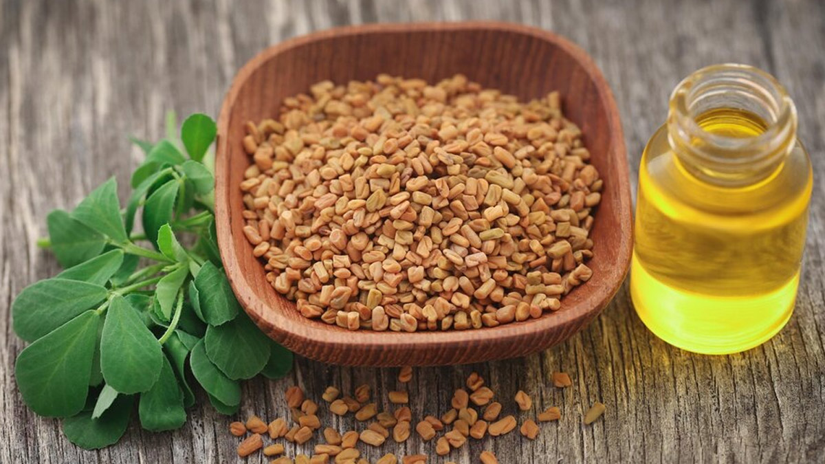 fenugreek