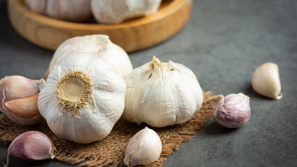 Garlic Benefits in High Uric Acid in Hindi