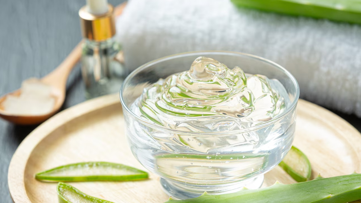 aloe vera