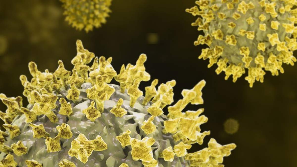 MERS Outbreak In Saudi Arabia: Here Are Its Symptoms, Risk Factors, And ...