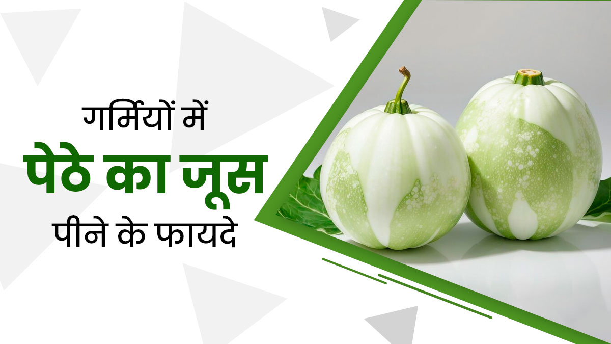 गर्मी के मौसम में जरूर पिएं पेठे (सफेद कद्दू) का जूस, एक्सपर्ट से जानें इसके 8 फायदे 