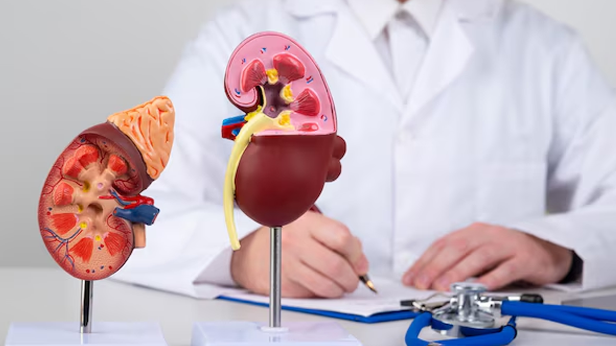 Why Kidney Patients Should Not Drink Coconut Water In Hindi