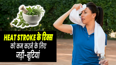 Heat Stroke: गर्मियों में हीट स्ट्रोक का जोखिम कम करने के लिए डाइट में शामिल करें ये 3 हर्ब्स, शरीर को मिलेगी 