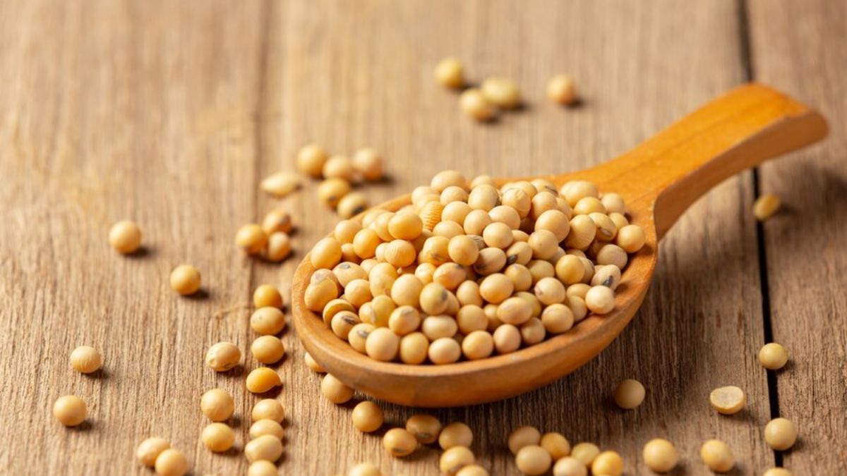 Benefits Of Soybean in High Cholesterol in Hindi