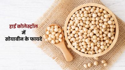 हाई कोलेस्ट्रॉल कम करने के लिए ऐसे करें सोयाबीन का सेवन, मिलेंगे जबरदस्त फायदे