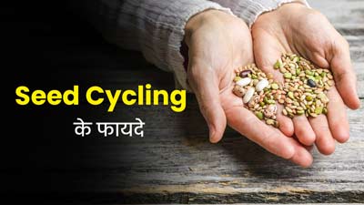 हार्मोन संतुलन में रखने के लिए ट्राई करें सीड साइकिलिंग, जानें इसमें किन बीजों का करना होता है सेवन