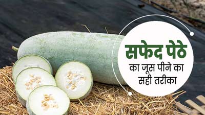 सफेद पेठे का जूस एक दिन में कितना पीना चाहिए? एक्सपर्ट से जानें सही मात्रा और सेवन का तरीका
