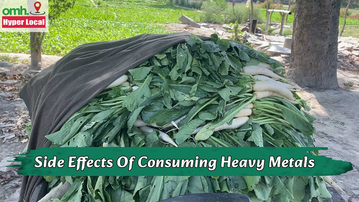 #OMHHyperLocal: Lab Report Confirms Heavy Metals In Yamuna Bank Vegetables, Doctor Shares Its Side Effects
