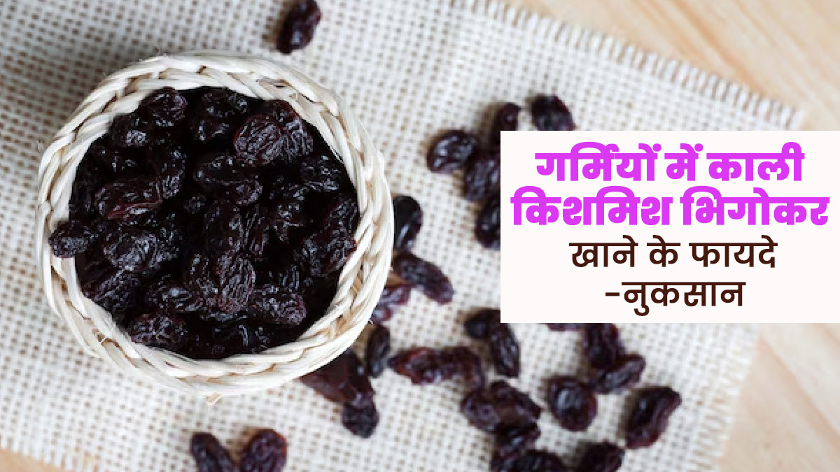 क्या गर्मियों में काली किशमिश भिगोकर खा सकते हैं? एक्सपर्ट से जानें फायदे-नुकसान