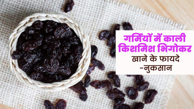 क्या गर्मियों में काली किशमिश भिगोकर खा सकते हैं? एक्सपर्ट से जानें फायदे-नुकसान