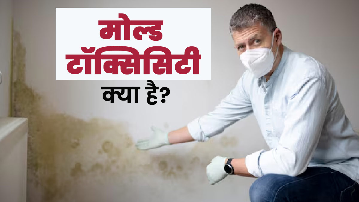मोल्ड टॉक्सिसिटी क्या है? जानें सेहत के लिए यह कैसे है खतरनाक