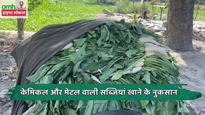 OMH HyperLocal: यमुना किनारे उग रही सब्जियों का सेवन हानिकारक, डॉक्टर ने बताया इन बीमारियों का खतरा