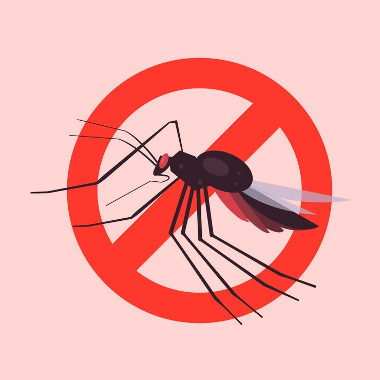 dengue