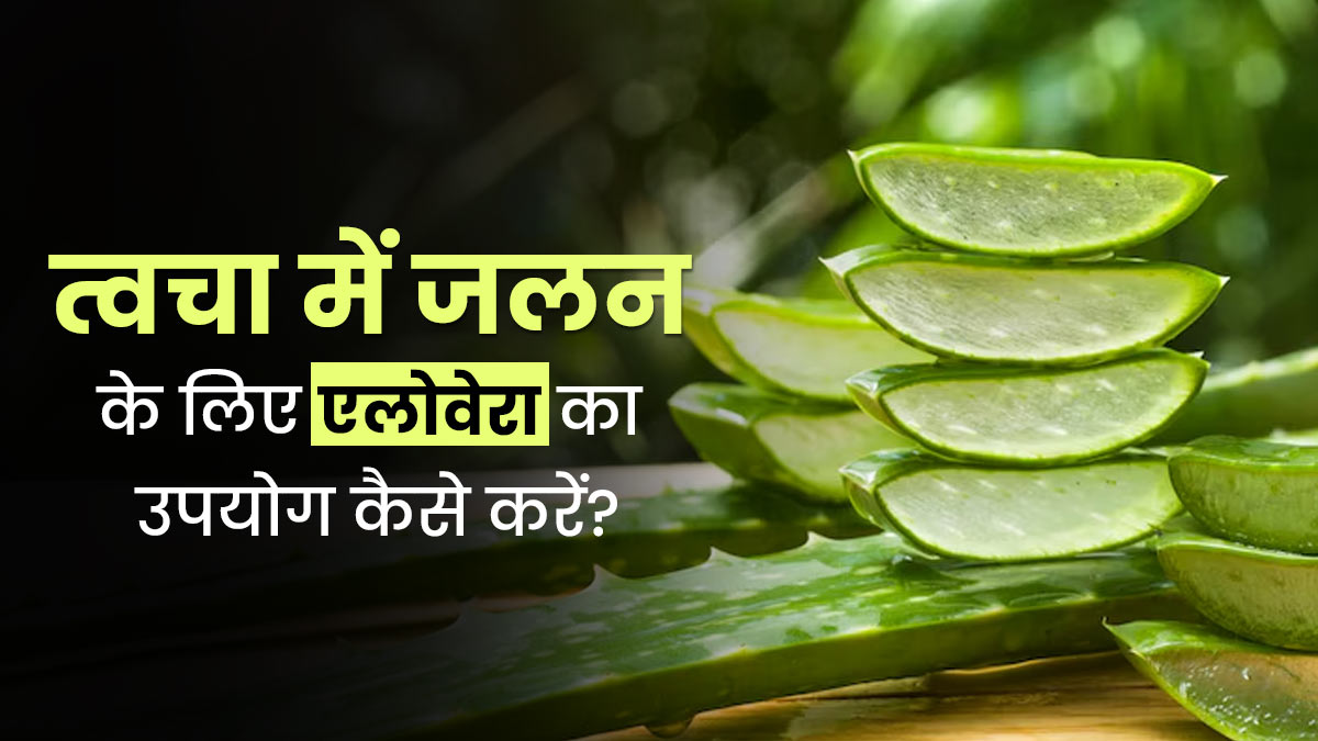 गर्मियों में ड्राई स्किन से छुटकारा पाने के लिए एलोवेरा का इस्तेमाल कैसे करें? जानें 4 तरीके