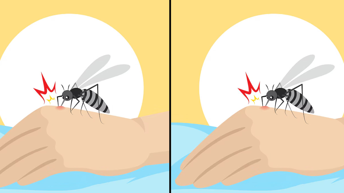 National Dengue Day 2024: Check Theme, History, Significance And More