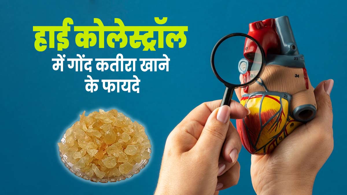 हाई कोलेस्ट्रॉल की समस्या में करें गोंद कतीरा का सेवन, मिलेंगे जबरदस्त फायदे