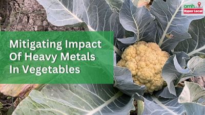 #OMHHyperLocal: Mitigating The Impact Of Heavy Metals Found In Vegetables Sold In Delhi Markets